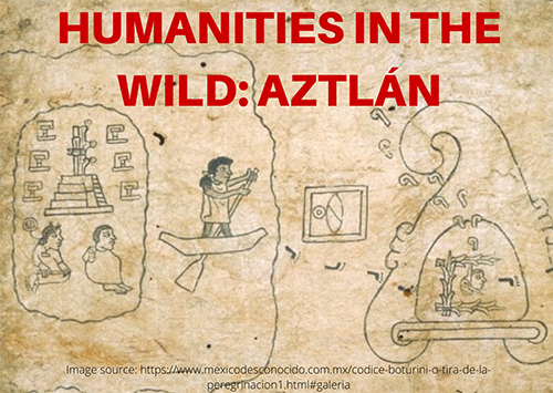 Humanities in the Wild